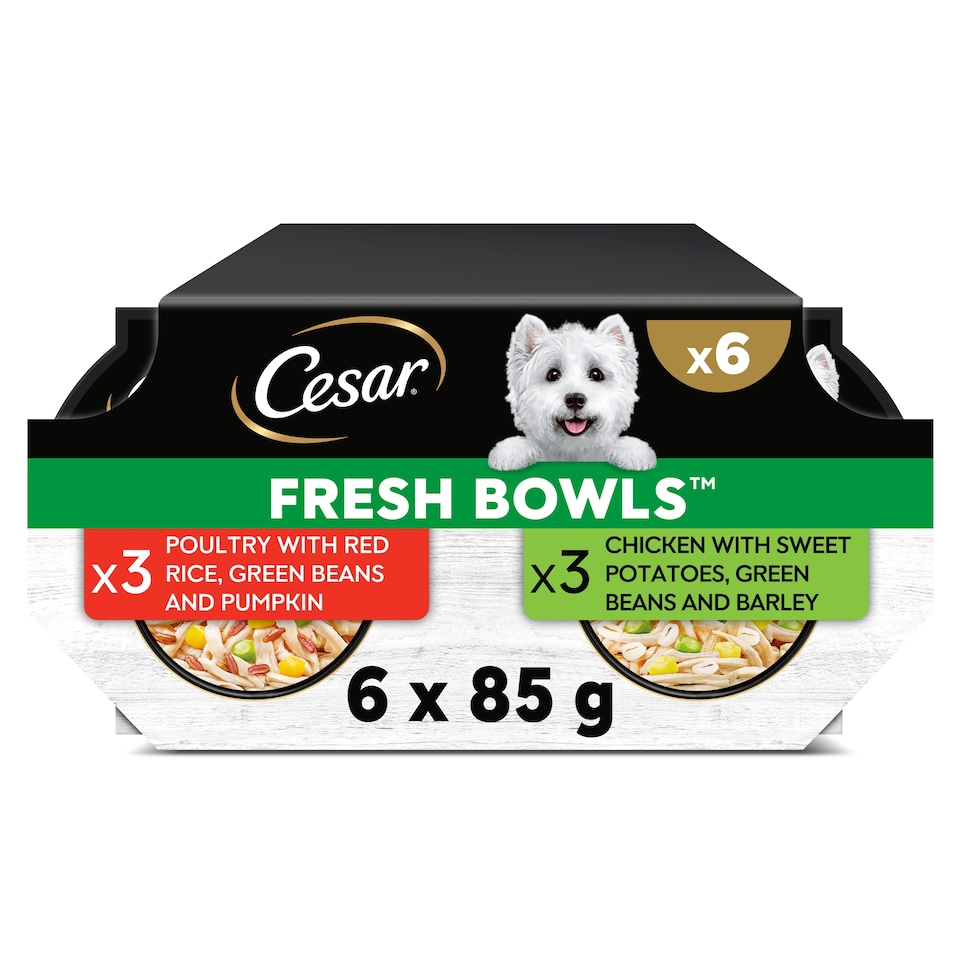 image 1 of CESAR Wet Dog Food Fresh Bowls in Gravy 6 x 85g