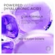 image 5 of L'Oreal Elvive Hydra Hyaluronic Shampoo 400Ml