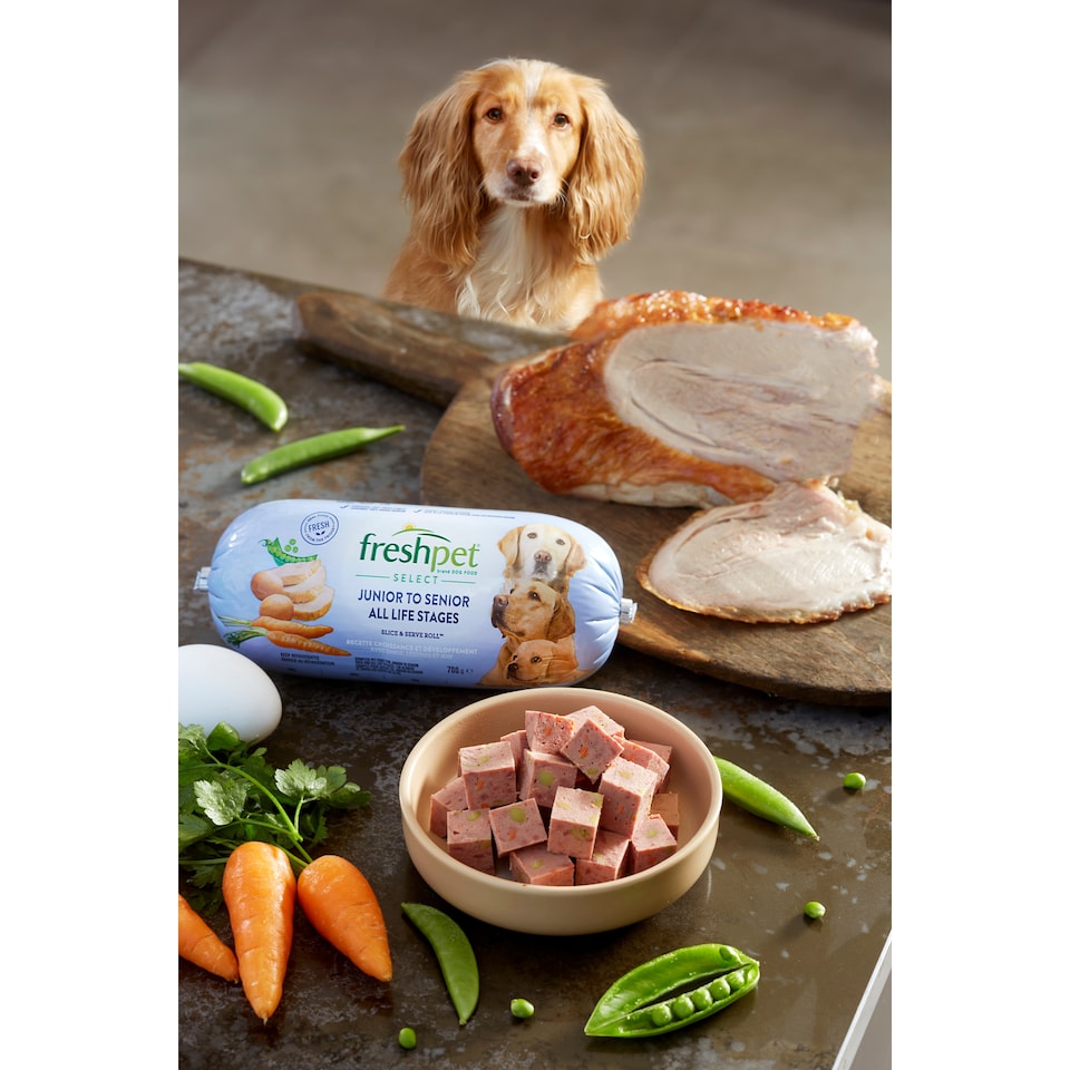 image 1 of Freshpet All Life Stages Turkey with Peas & Carrots Fresh Dog Food Roll 700g
