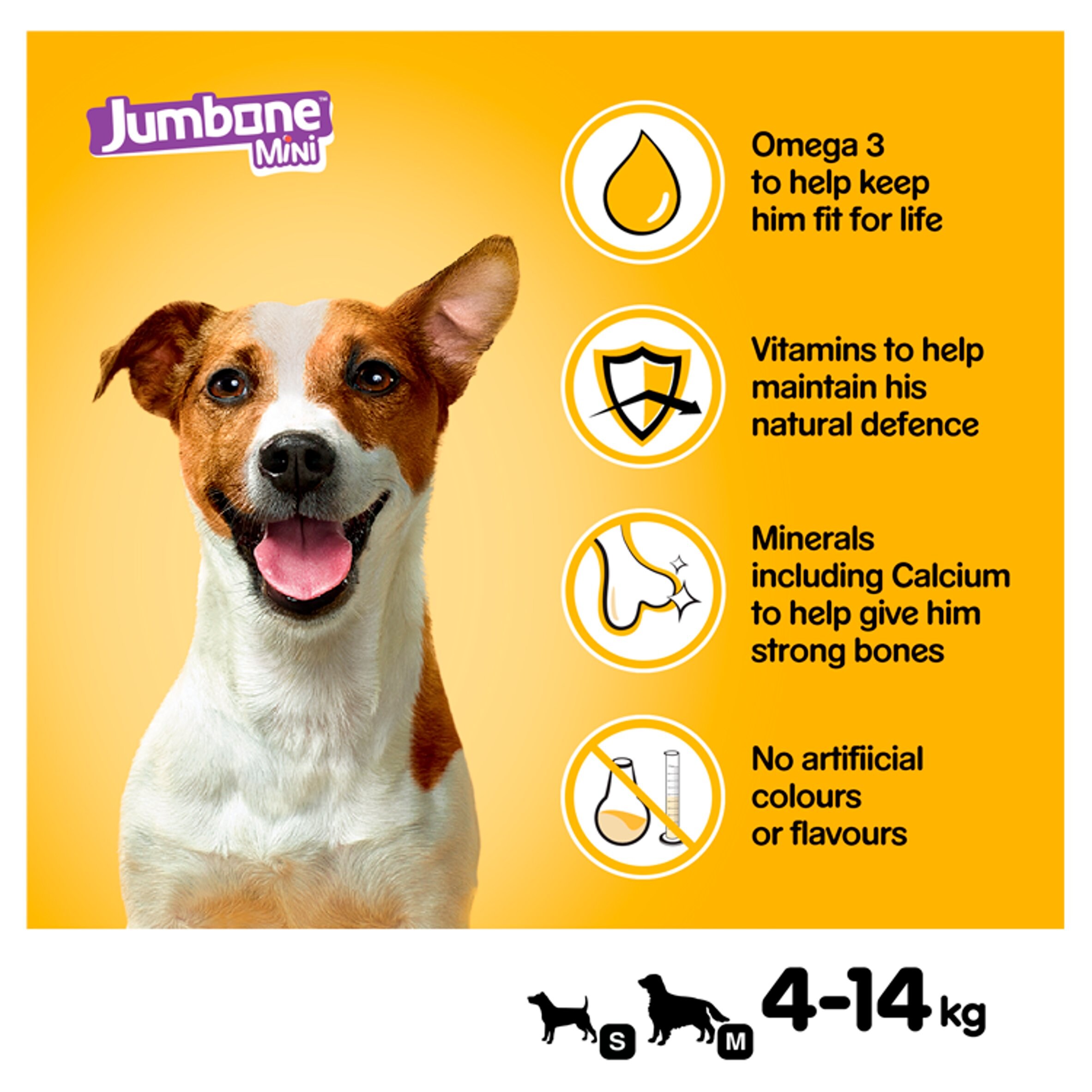 jumbone mini pedigree