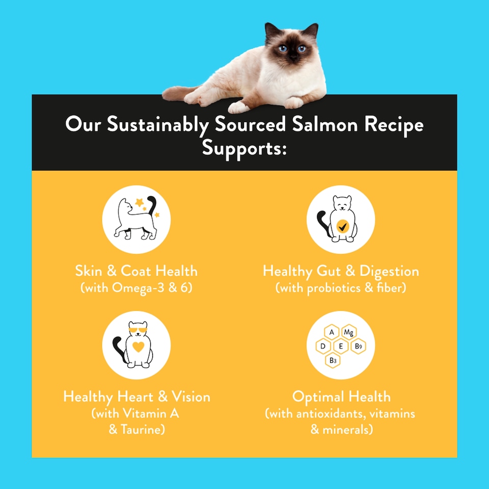 image 1 of Nood Cat Food Salmon Recipe 800G