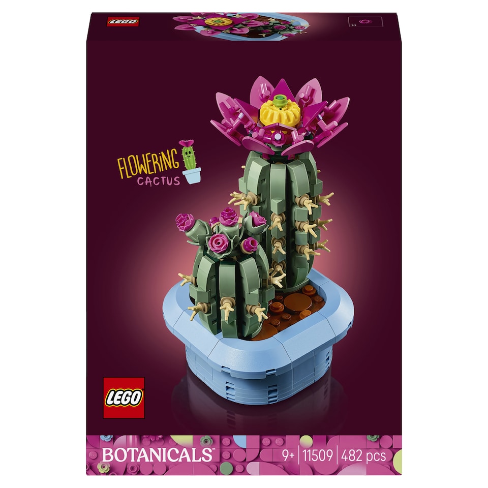 image 1 of LEGO Botanicals 11509 Flowering Cactus
