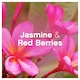 image 4 of Lenor Fabric Conditioner Jasmine & Red Berries 42 Washes 1.386Ltr
