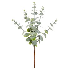 Tesco Green Eucalyptus Pick
