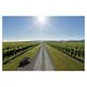 image 4 of Brancott Estate Flight Sauvignon Blanc 750Ml