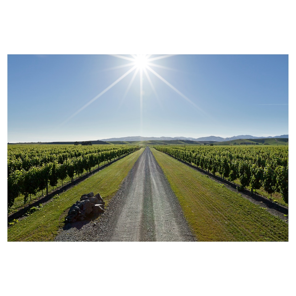 image 1 of Brancott Estate Flight Sauvignon Blanc 750Ml