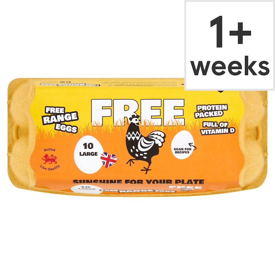 Big & Free Large White Free Range Eggs 10 Pack