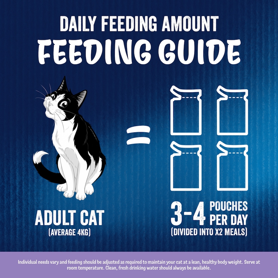 image 1 of Felix As Good As It Looks Favourites Selection in Jelly Wet Cat Food 40x85g