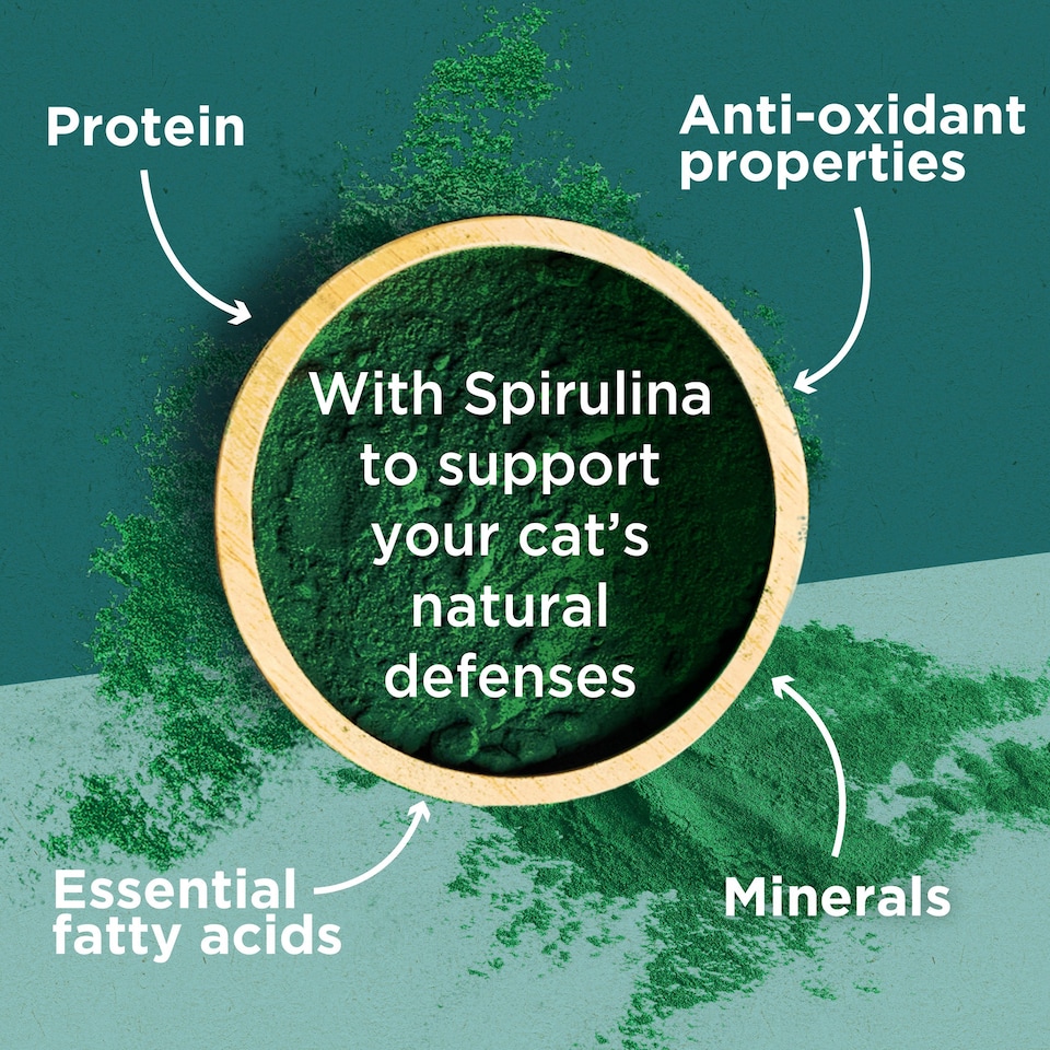 image 1 of Purina One Dual Nature Natural Defence Cat Food Salmon 650g
