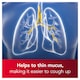 image 3 of Benylin Chesty Cough Relief Liquid - Guaifenesin, Levomenthol 150ml