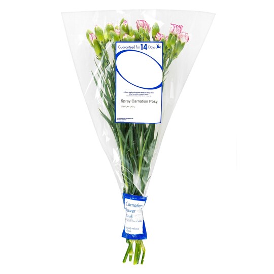 Tesco Spray Carnation Posy Bouquet Tesco Groceries