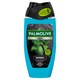 Obrázek 1 pro produkt Palmolive For Men Sport sprchový gel 3v1 250ml