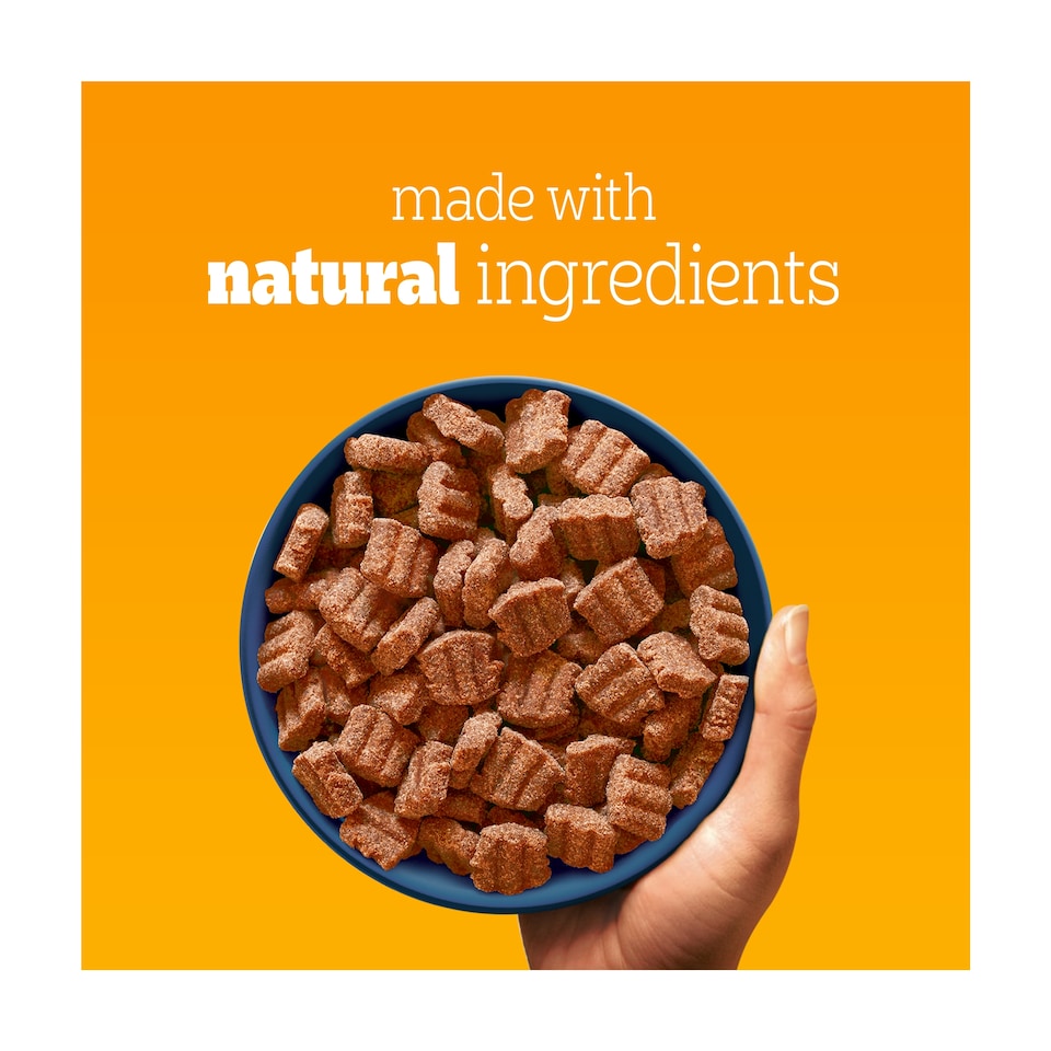 image 1 of Pedigree Dry Dog Food Tender Goodness with Poultry 2.6kg