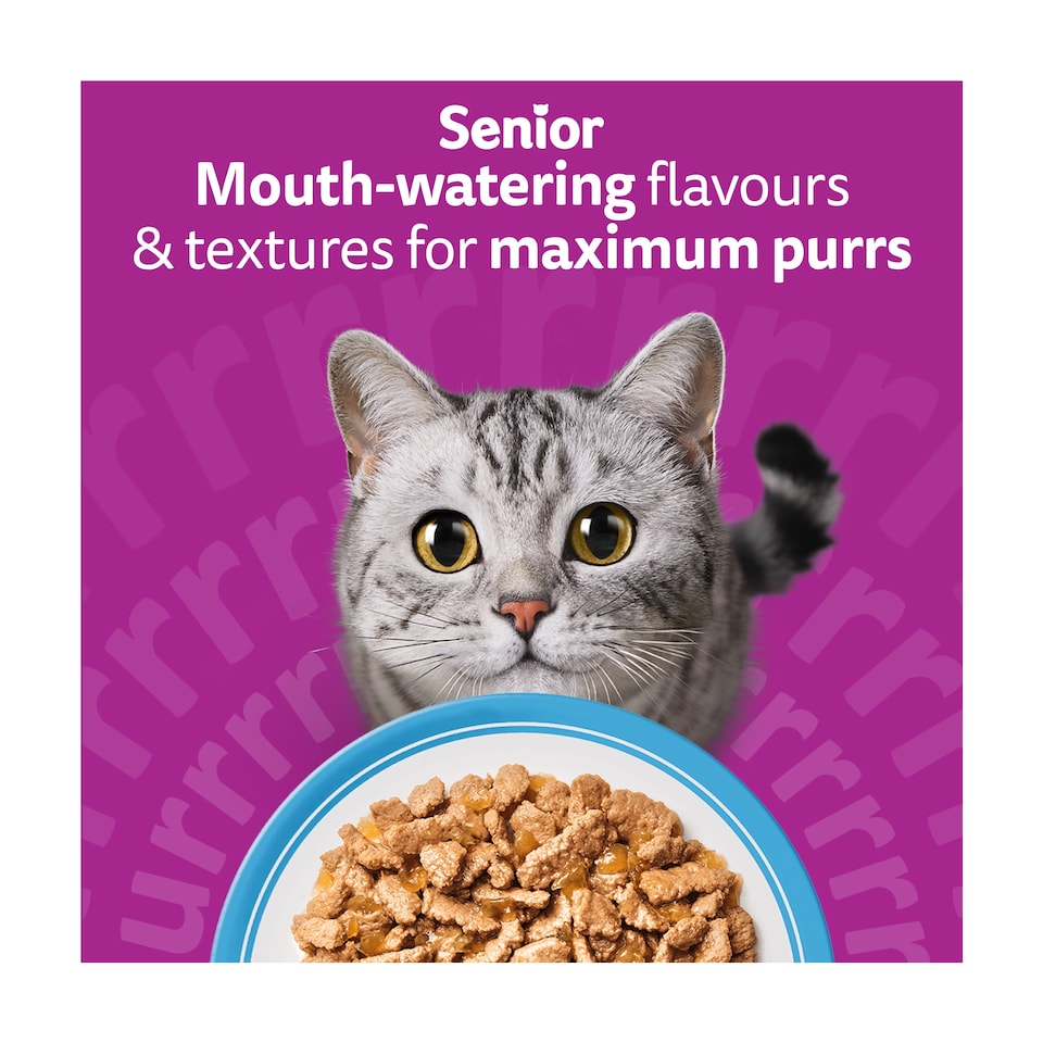 image 1 of Whiskas 7+ Senior Wet Cat Food Fish Favourites in Jelly 12x85g