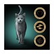 image 2 of SHEBA Fresh & Fine Cat Pouches Fish collection in Gravy 50x50g
