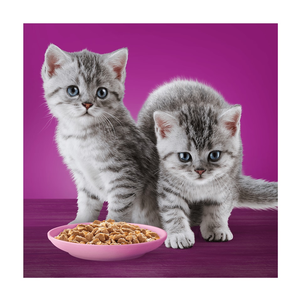 image 1 of Whiskas Kitten Cat Food Pouches Poultry Feasts in Jelly 40x85g