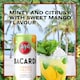 image 5 of Bacardi Mango Mojito 250Ml