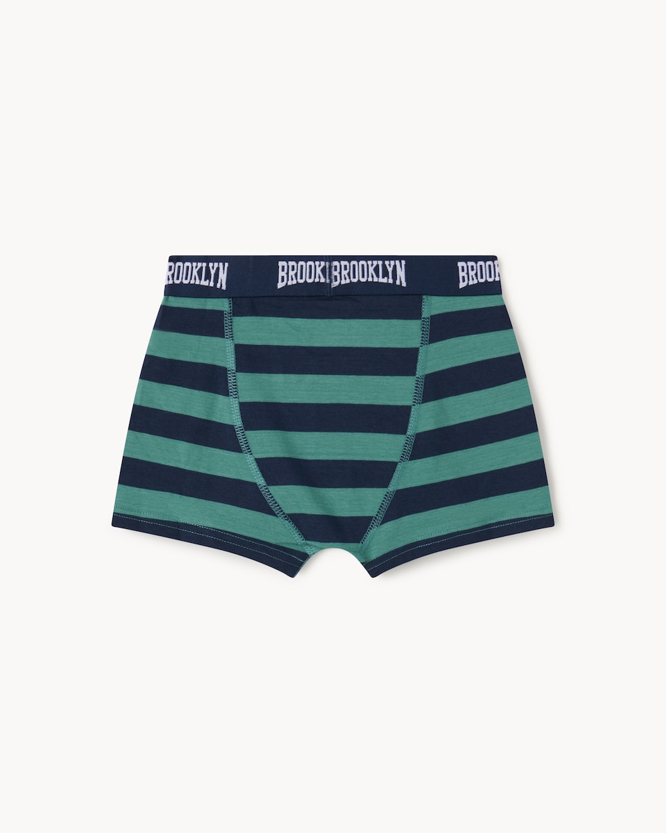 image 1 of F&F Boys 5-Pack Cotton Rich Striped Trunks in Multi
