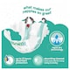 image 3 of Fred & Flo Ultra Dry Nappies Size 6+ 26 Pack