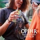 image 3 of Opihr Oriental Spiced Gin 70Cl