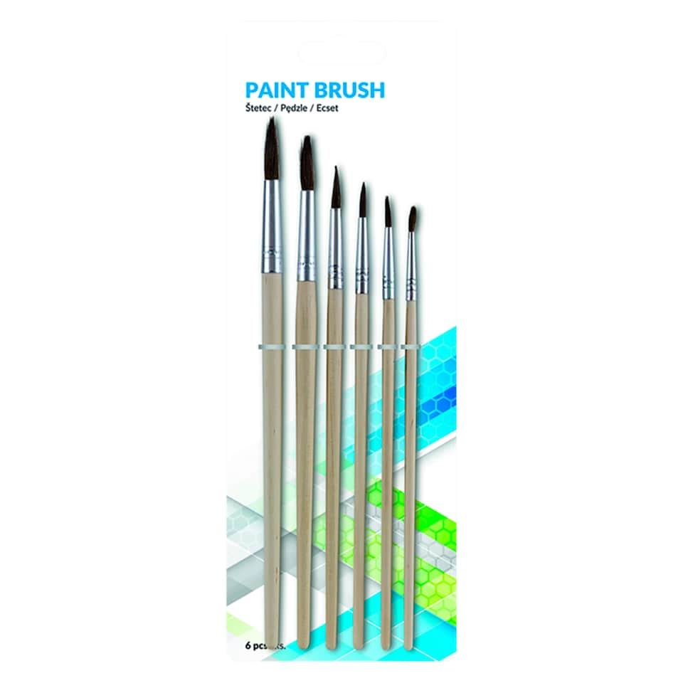 Paint Brush 6 pcs