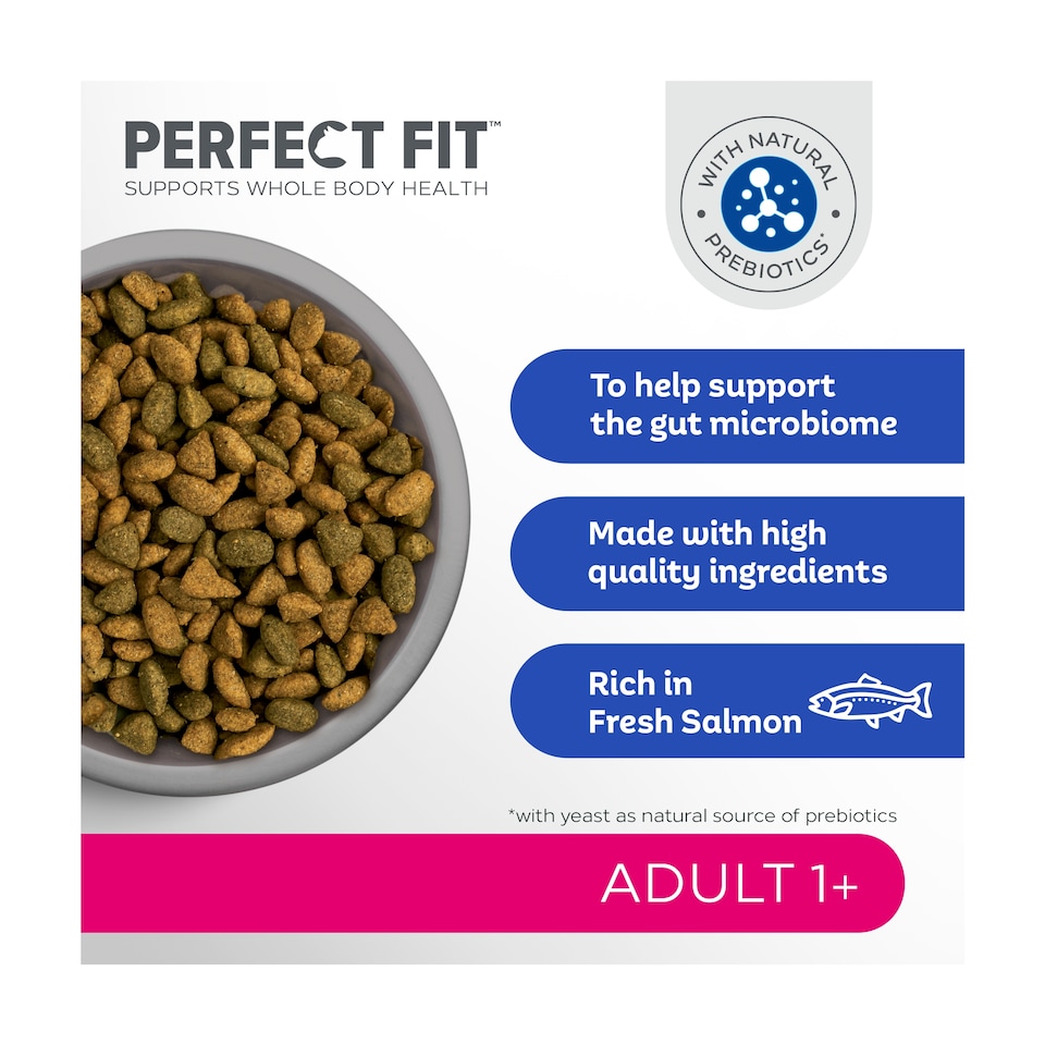 image 1 of Perfect Fit Adult 1+ Dry Cat Food - Salmon 750g