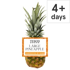 Tesco Pineapple