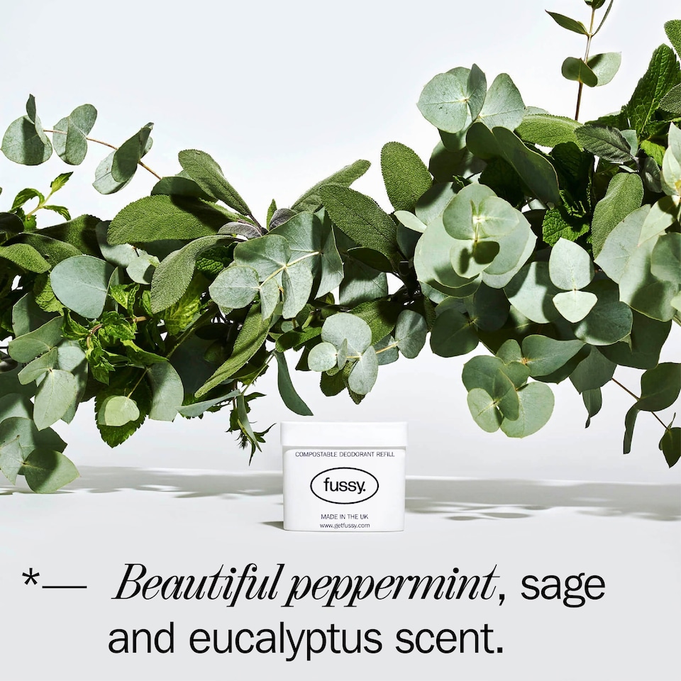 image 1 of Fussy Refillable Natural Deodorant Wavy Days 40G