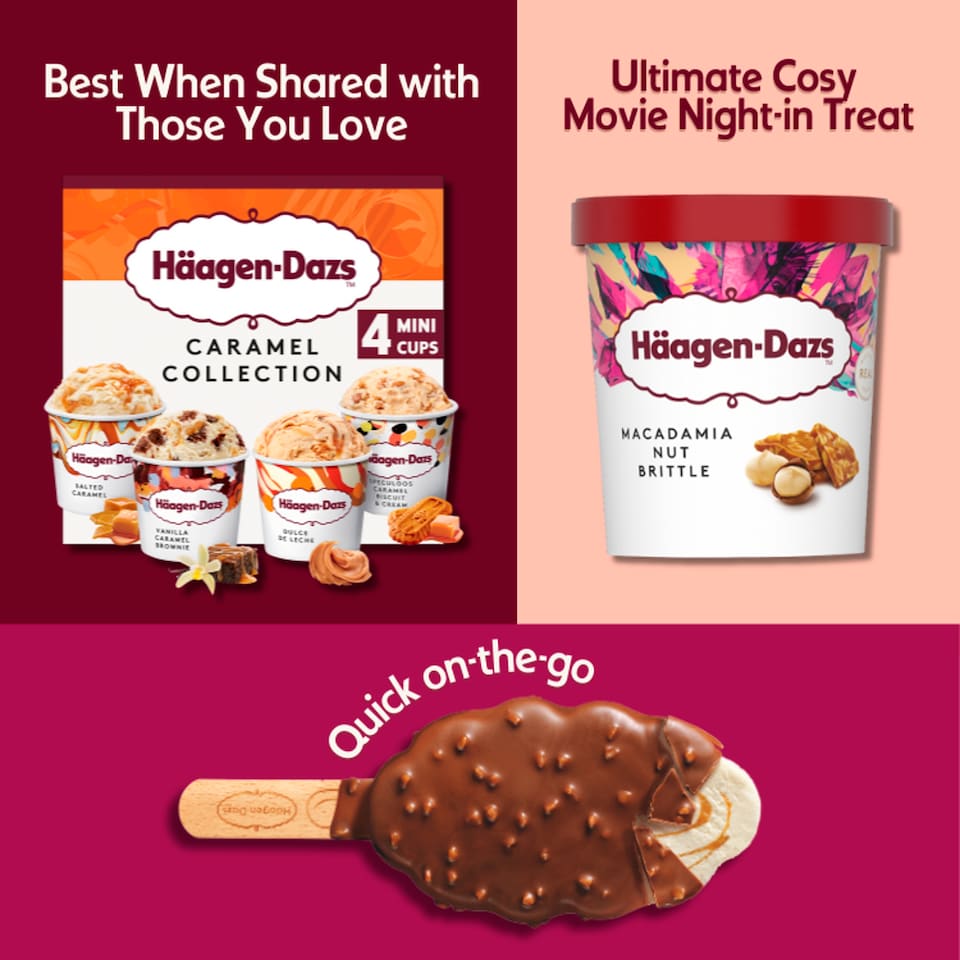 image 1 of Haagen-Dazs Macadamia Nut Brittle Ice Cream 460ml