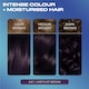 image 3 of CLAIROL NICE'N EASY BOLD PERMANENT HAIR DYE - 4.67 AMETHYST BROWN