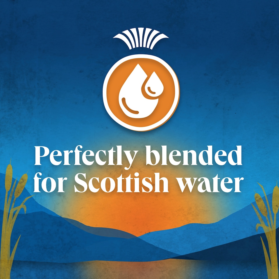 image 1 of Scottish Blend Tea Bags 210 Pack 609g