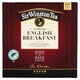 Obrázek 1 pro produkt Sir Winston Tea English Breakfast černý čaj 100 x 1,80g (180g)