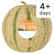 image 1 of Tesco Cantaloupe Melon Each