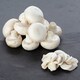 image 2 of Tesco Organic White Mushrooms 320G