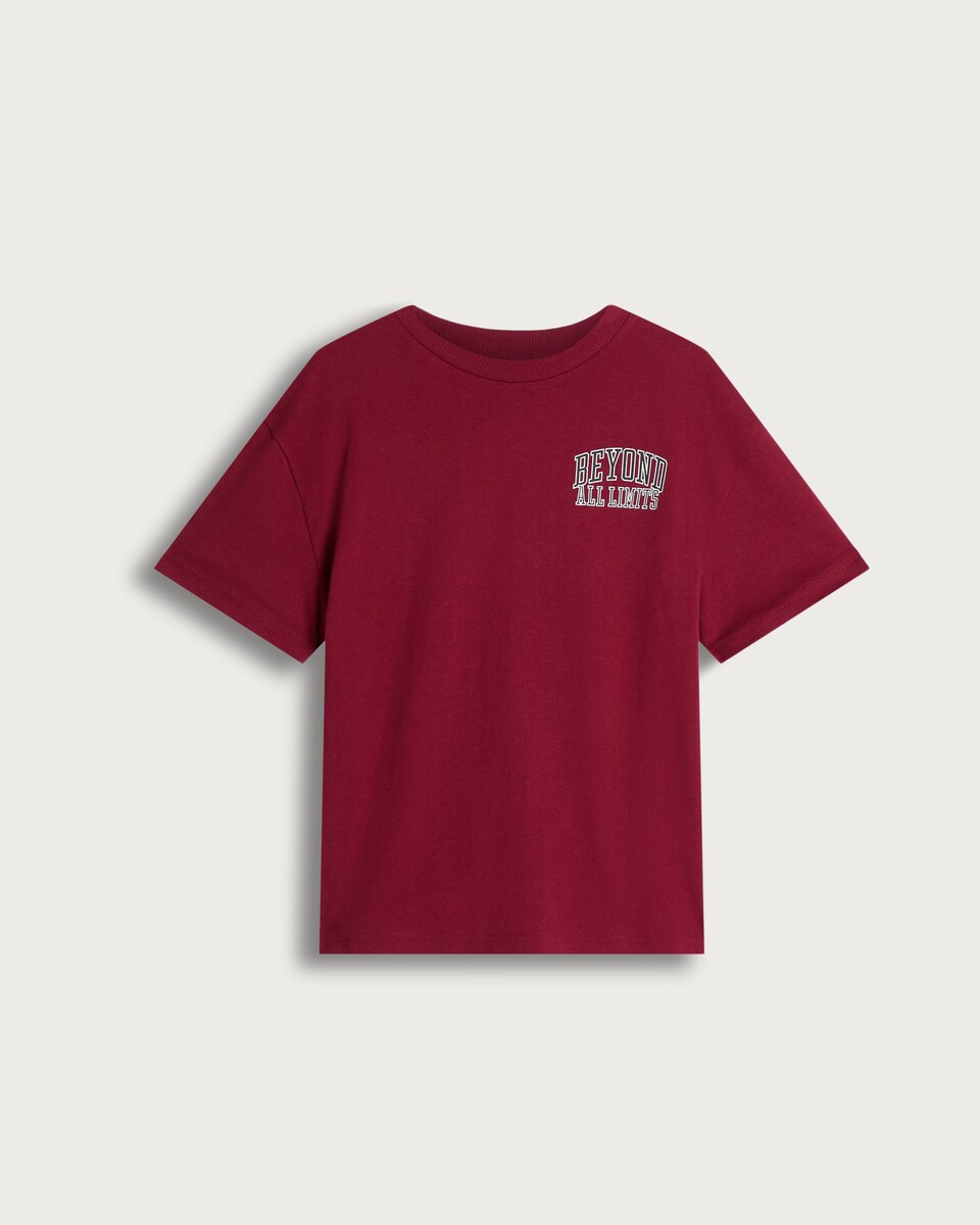 F&F Boys Pure Cotton Slogan Short Sleeved T-Shirt in Burgundy