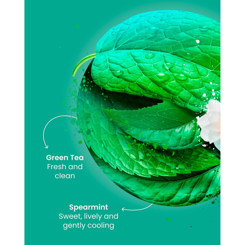 image 1 of Good Earth Green Tea Moroccan Mint 15 Tea Bags 27g