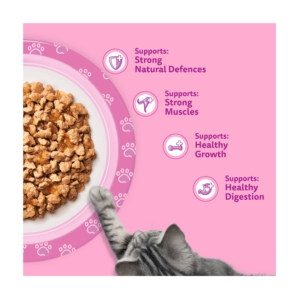 image 1 of Whiskas Kitten Cat Food Pouches Fish Favourites in Jelly 12x85g