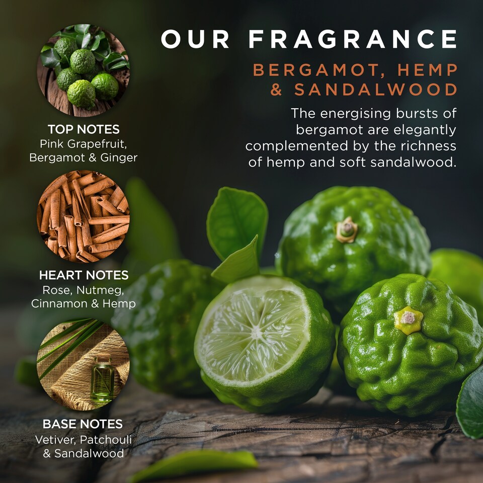 image 1 of Baylis & Harding The Fuzzy Duck Bergamot, Hemp & Sandalwood Men's Luxury Gift Box Gift Set