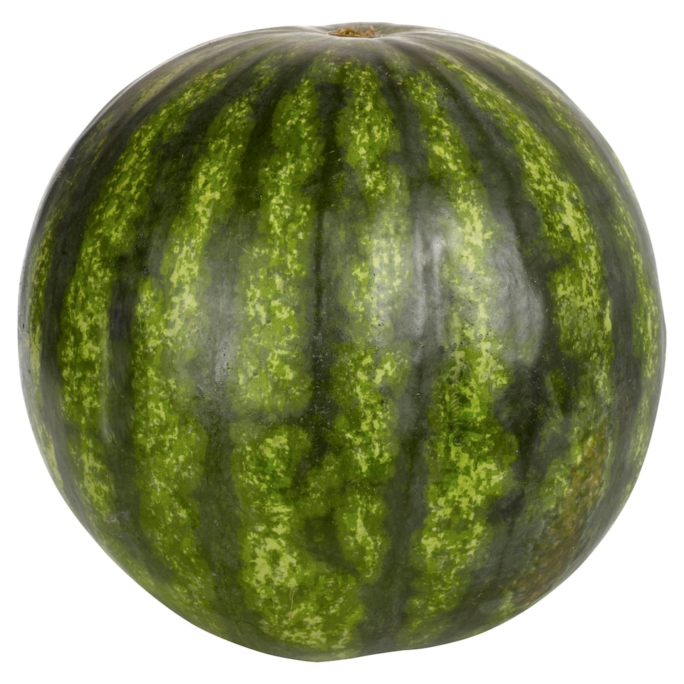Obrázek 1 pro produkt Meloun vodní