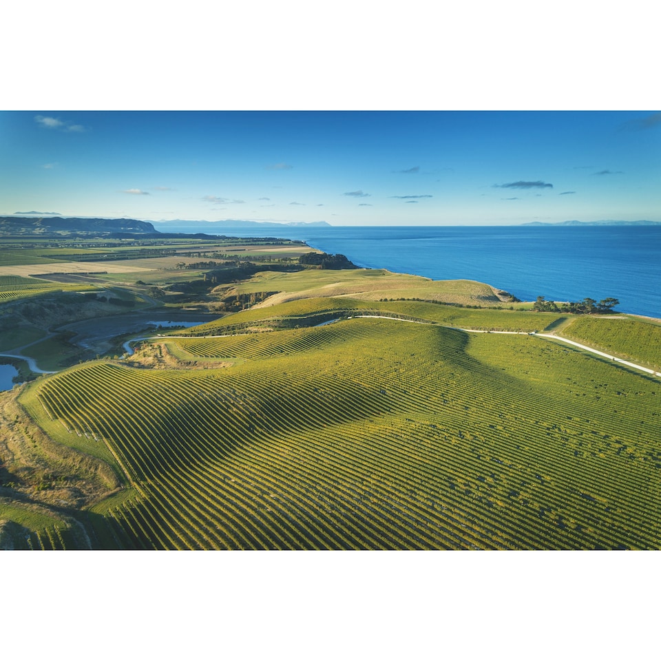 image 1 of Yealands Sauvignon Blanc 75Cl