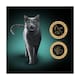 image 2 of Sheba Fillets Wet Cat Food Tray with Chicken & Fish in Gravy 60g