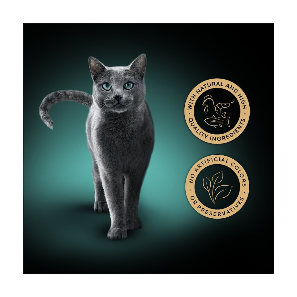 image 1 of Sheba Fillets Wet Cat Food Tray with Chicken & Fish in Gravy 60g