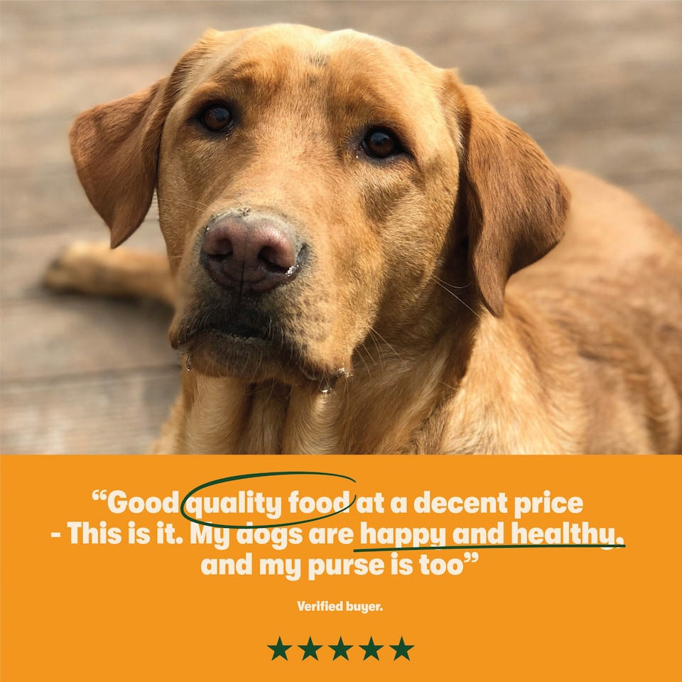 image 1 of Harringtons Adult Dog Food Turkey & Vegetable 4Kg