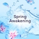 image 3 of Lenor Fabric Conditioner Spring Awakening 80 Washes 2.64L