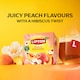 image 3 of Lipton Peach Paradise 20 Tea Bags 46g