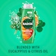 image 2 of Radx/Mt Feel Refreshed Eucalyptus And Citrus Shower Gel 675Ml