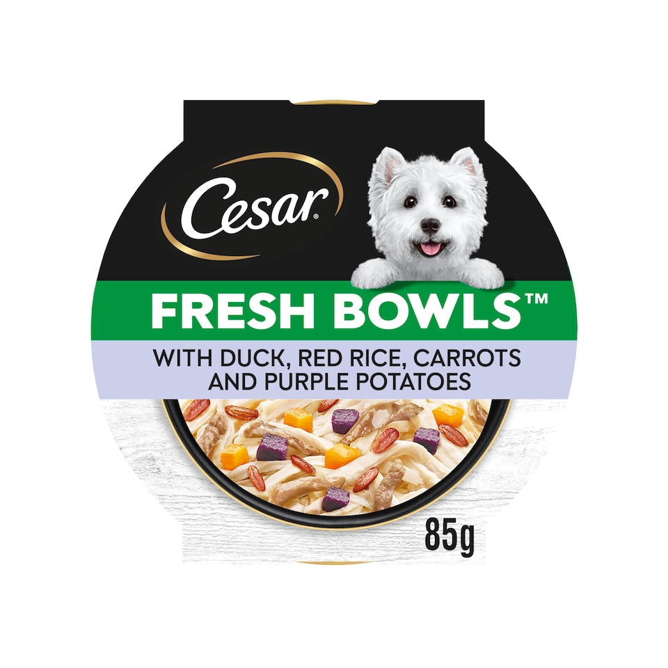 image 1 of CESAR Dog Food Fresh bowls with Duck Red Rice Carrots and Purple Potatoes 85g