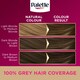 image 5 of Palette Deluxe Permanent Hair Dye - 6-0 Light Brown 