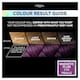 image 2 of L'Oreal Paris Preference Vivids 3.16 Magnetic Plum Permanent Hair Dye