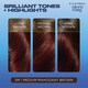 image 3 of Clairol Ncen/Esy Medium Mahogany Brown 5M Hair Dye